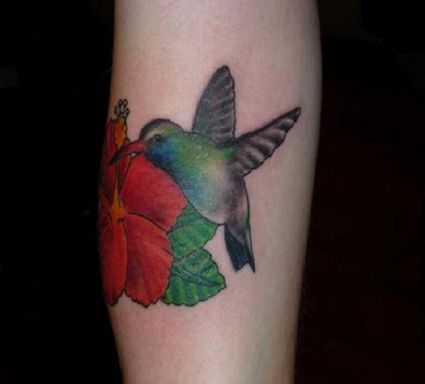 Hummingbird And Flower Pics Tattoo